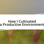 How I Cultivated a Productive Environment