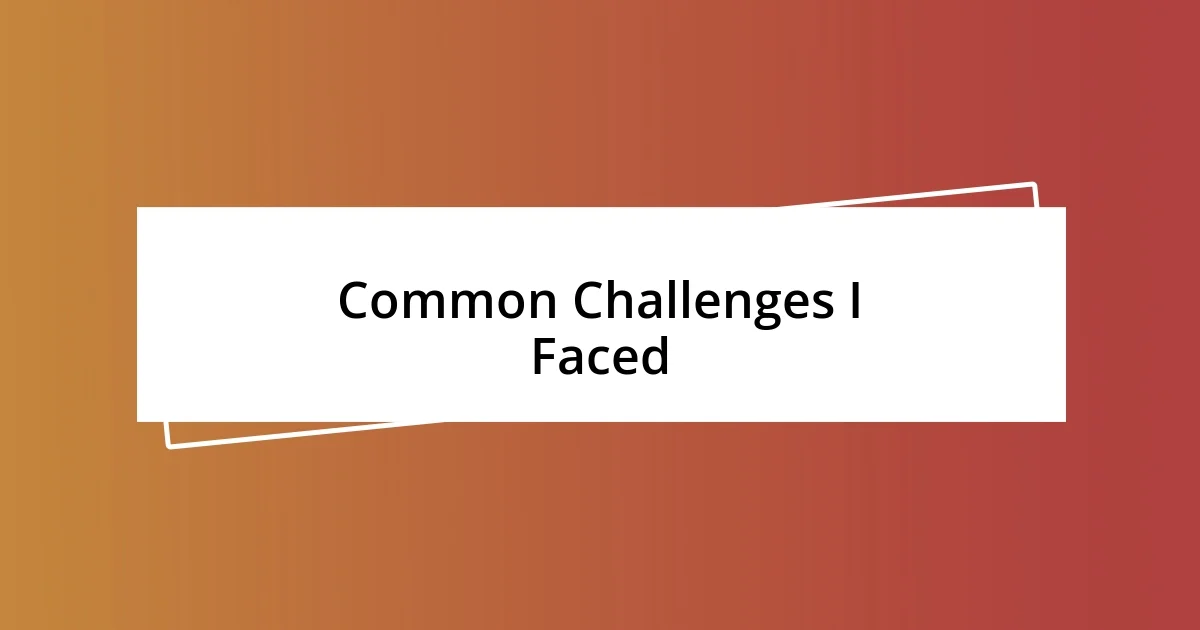 Common Challenges I Faced