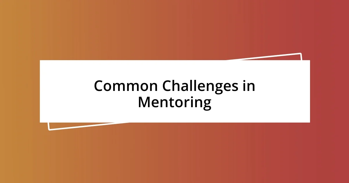 Common Challenges in Mentoring